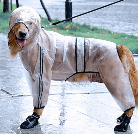 Waterproof Raincoat For Big Dogs - Stay Dry In Style