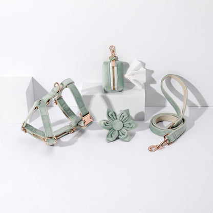 STEP IN FLORAL BUNDLE - LIGHT MINT GREEN (4 pieces)